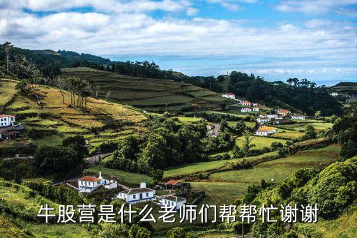 牛股营是什么老师们帮帮忙谢谢