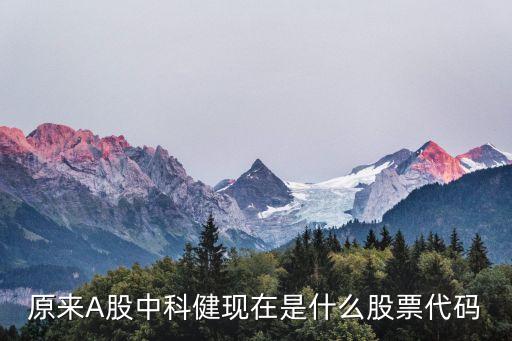 原来A股中科健现在是什么股票代码