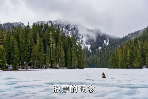 股票概念要大什么意思，股票的概念