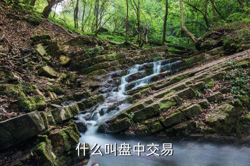 什么叫盘中交易
