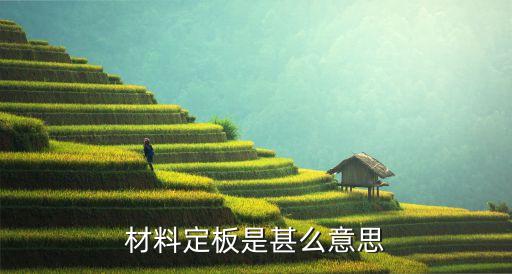 股票定板什么意思啊，材料定板是甚么意思