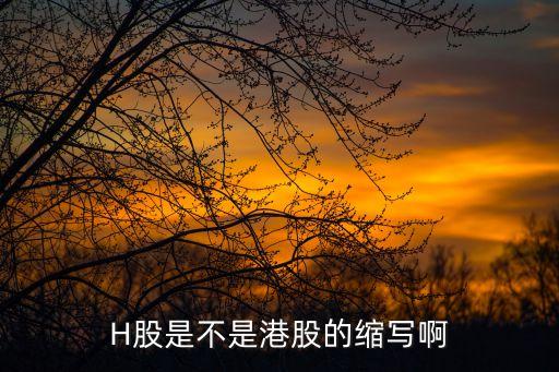 股票的888什么意思，H股是不是港股的缩写啊