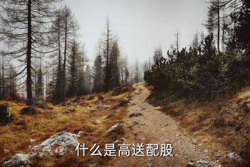 送配股票是什么意思，高送配股是什么意思