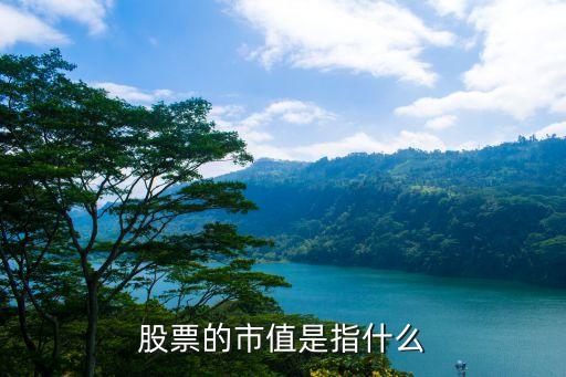 股票的市值是指什么