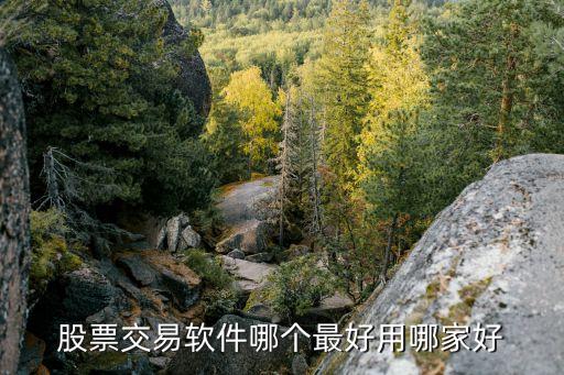 股票交易软件哪个最好用哪家好