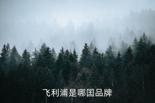 飞利浦是哪囯品牌