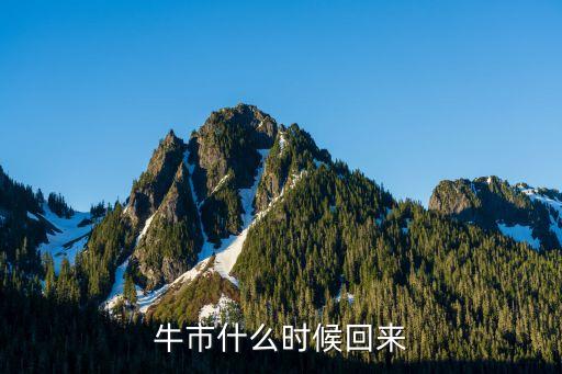 牛市什么时候回来