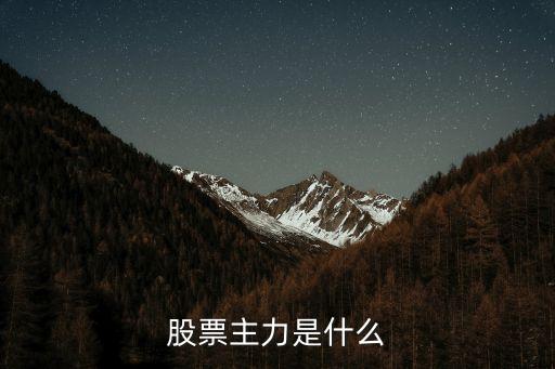 股票主力是什么
