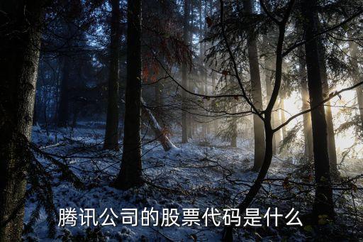 腾讯公司的股票代码是什么