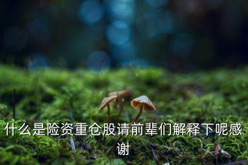 什么是险资重仓股请前辈们解释下呢感谢