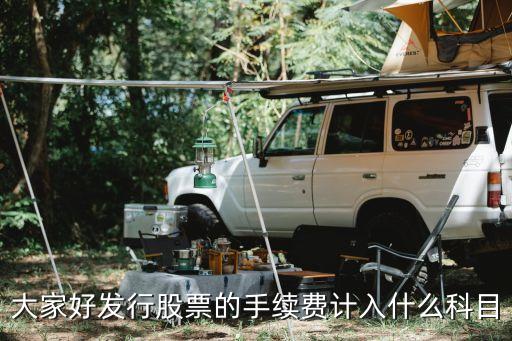发行股票费用属于什么成本，公司发行股票支付的手续费佣金等发行费用其正确的会计处理有