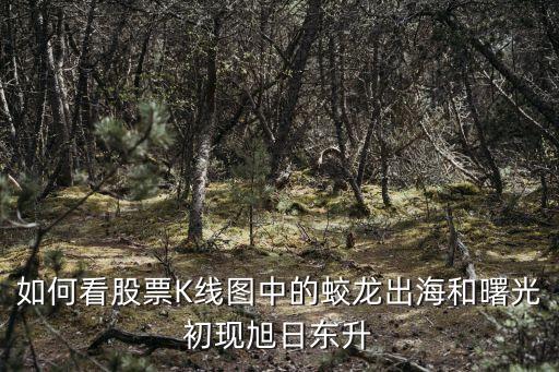 如何看股票K线图中的蛟龙出海和曙光初现旭日东升