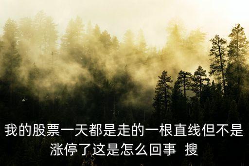 我的股票一天都是走的一根直线但不是涨停了这是怎么回事  搜