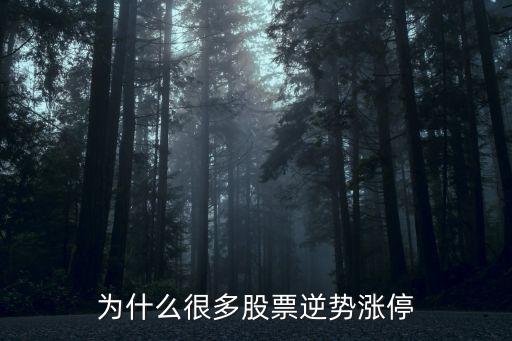 为什么下午股票会反转涨停，为什么股票会有涨停呢