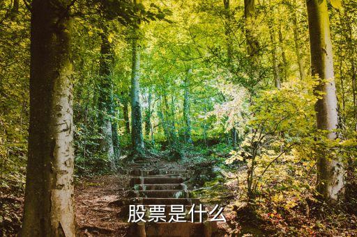 股票是什么