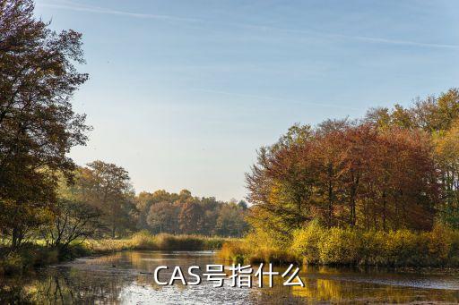CAS号指什么