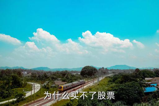 美吉姆股票为什么买不了，为什么我买入不了股票