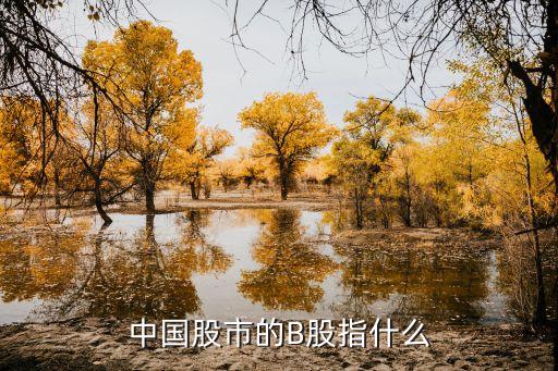 中国股市的B股指什么