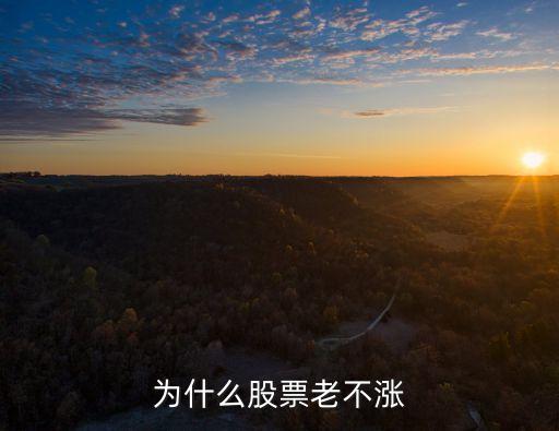 为什么没有连年大涨的股票，为什么股票不涨