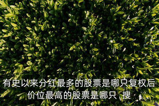 有史以来分红最多的股票是哪只复权后价位最高的股票是哪只  搜