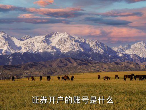 证券开户的账号是什么