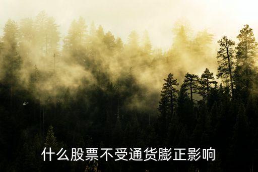 什么股票不受通货膨正影响