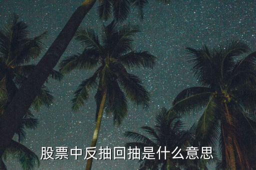股票中反抽回抽是什么意思