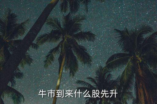 牛市到来什么股先升