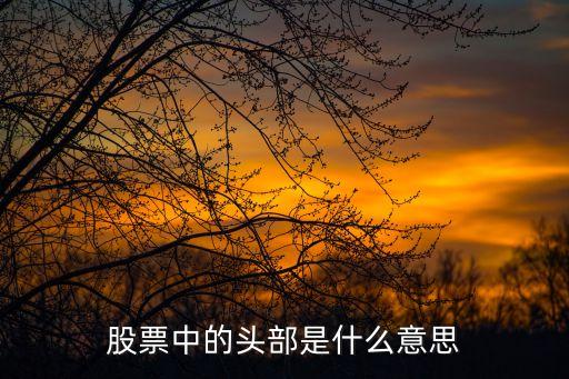 股票中的头部是什么意思