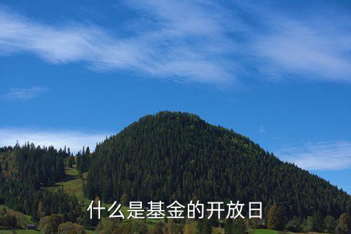 什么是基金的开放日
