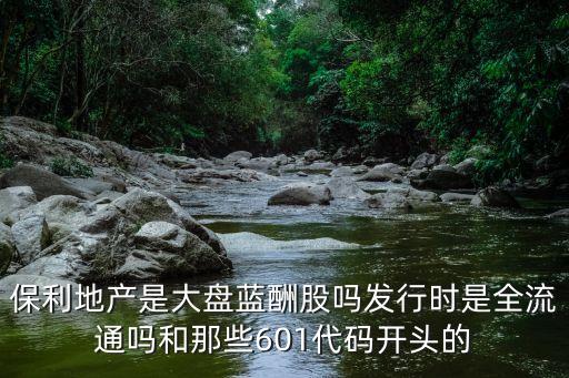 保利地产是大盘蓝酬股吗发行时是全流通吗和那些601代码开头的