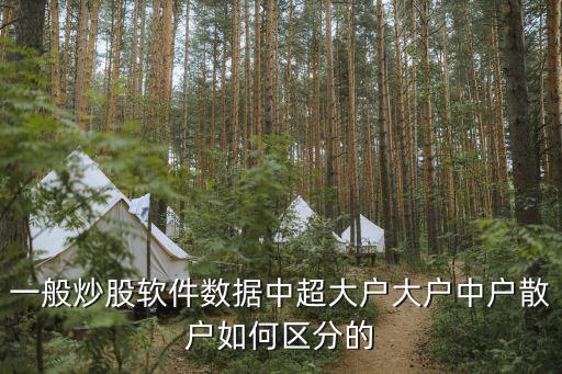 股票里什么是超大和大户，股票超大户13808是什么意思