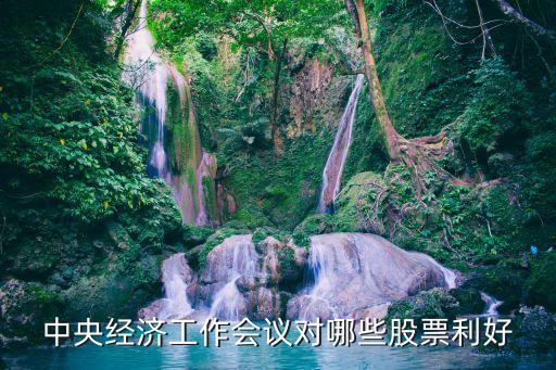 中央经济工作会议对哪些股票利好