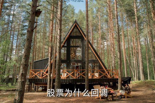 股票业绩好为什么要回调，为什么明明公司业绩很好股票还是要跌