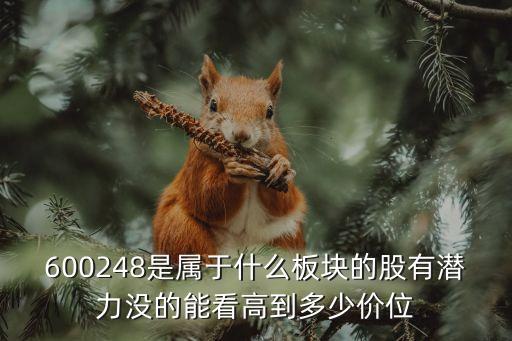 600248是属于什么板块的股有潜力没的能看高到多少价位