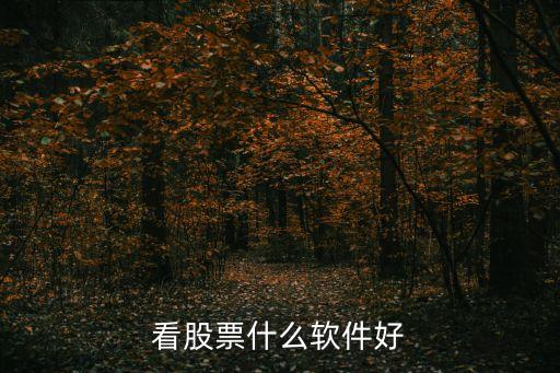 股票还没开盘看什么软件，看股票什么软件好