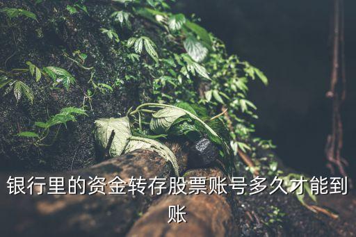 银行里的资金转存股票账号多久才能到账