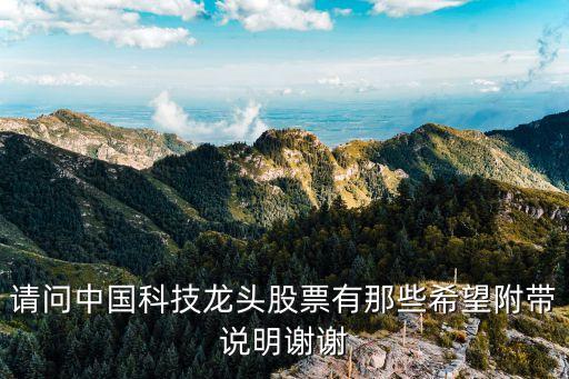 什么是科技股票龙头股票，哪几只股票是科技股龙头