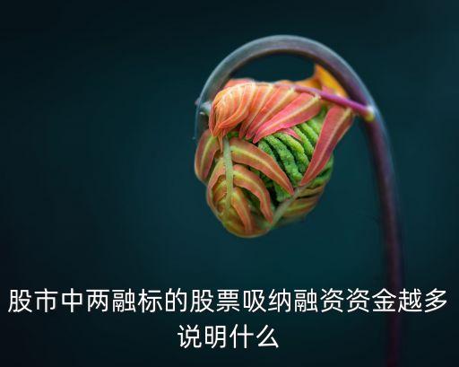 股票融资买入的多说明什么，融资净买入额高了好吗