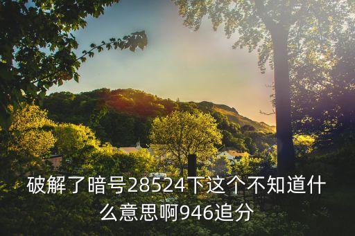 破解了暗号28524下这个不知道什么意思啊946追分