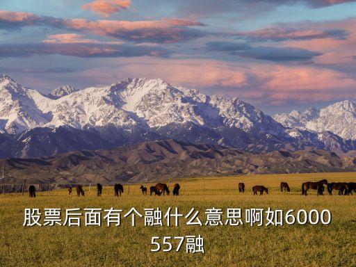 股票后面有个融什么意思啊如6000557融