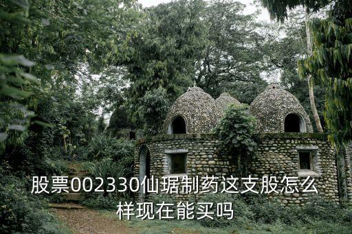 仙琚制药股票是什么龙头，仙琚制药是否是上市公司