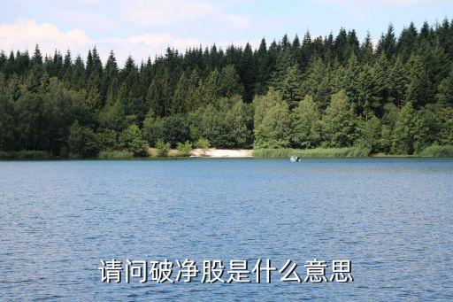 请问破净股是什么意思