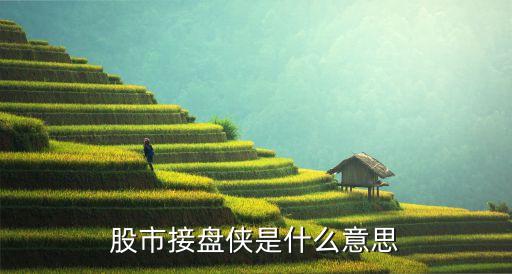 股市接盘侠是什么意思
