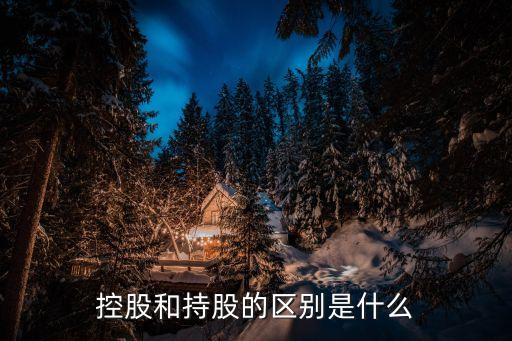 股票控股是什么意思，什么叫控股