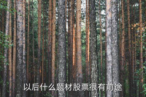 后期什么板块最有潜力股票，以后什么题材股票很有前途