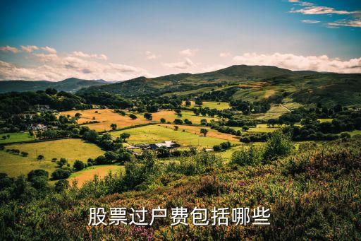 股票里什么是过户费用，股市的过户费是什么意思