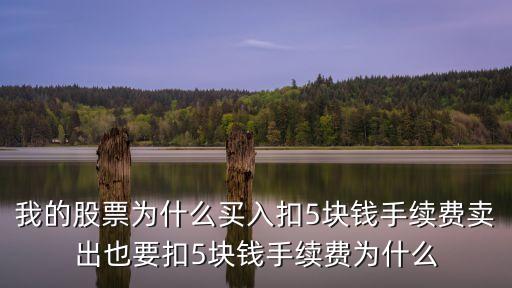 股票佣金为什么是5元，为什么我卖出九百多块钱的股票有5块钱手续费