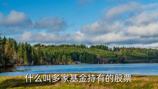 什么叫多家基金持有的股票