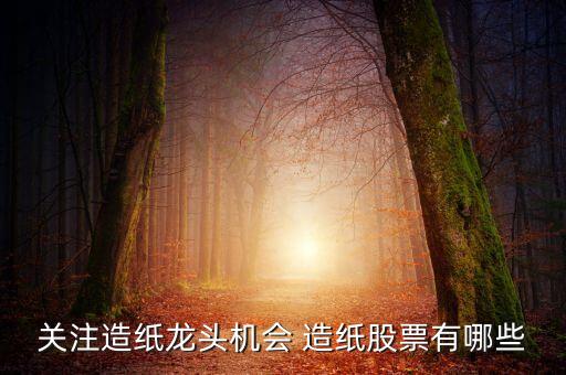 关注造纸龙头机会 造纸股票有哪些